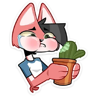 🌵