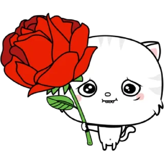 🌹