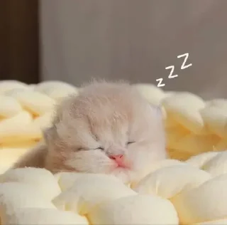 😴
