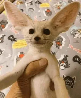 😊