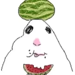 🍉