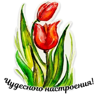 🌷
