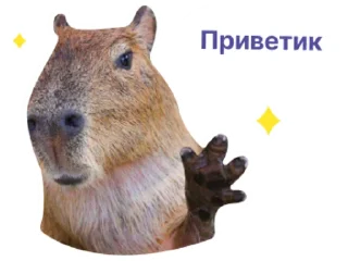 👋