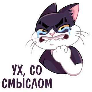 Кот Дайвинчика