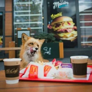 🍟