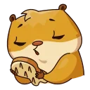 🍪