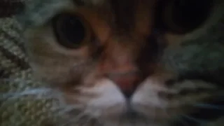 😶