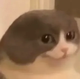 🙂
