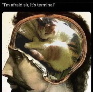 🧠
