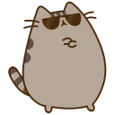 😎
