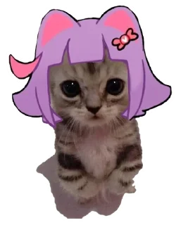 😺