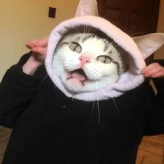 😆