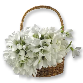 💐