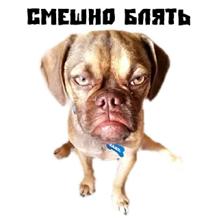 Stumpy @stickersb2b