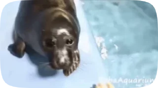 🤝