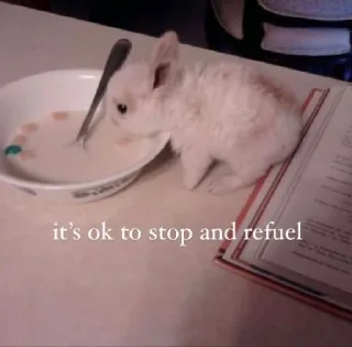 🐇