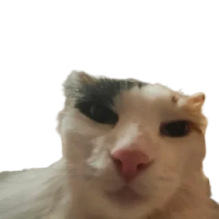 😤