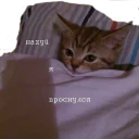 😦