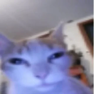 🥱