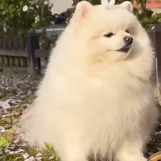 🤩
