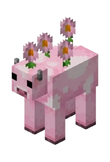 💗