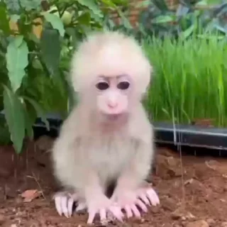 😭