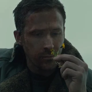 🌼
