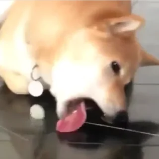 😋
