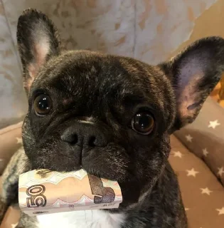 💰