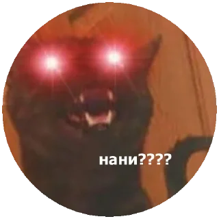 😳