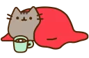 🐱