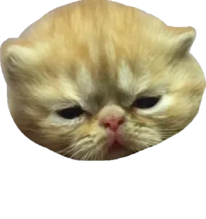 😐