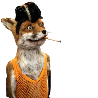 🦊