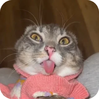 👍