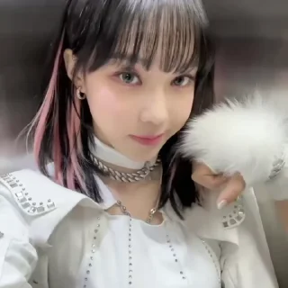 🐱