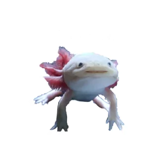 🤔