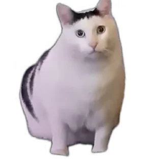 🤨