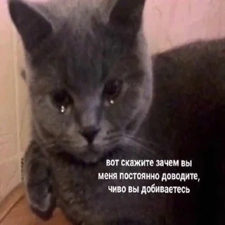 😞