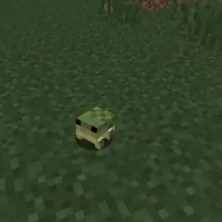 🐸