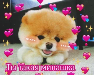 😍