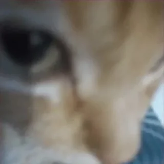 🤨
