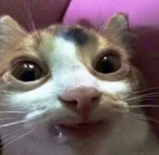 🤤