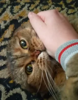 🤗