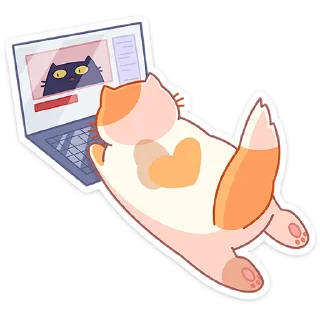 💻
