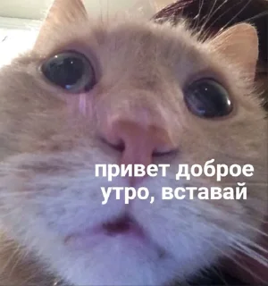 🤍