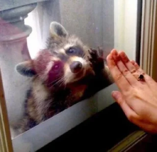 🥺
