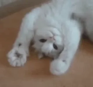 🥰