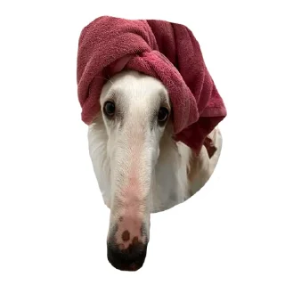 🧖‍♀️