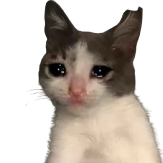 😭