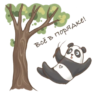 🐼